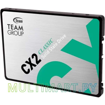 SSD диск Team CX2 1TB (T253X6001T0C101)